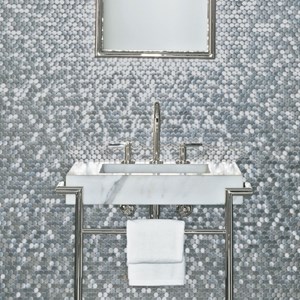 PENNY Stainless Steel Brushed Tiles